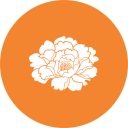 鄉鎮動態
